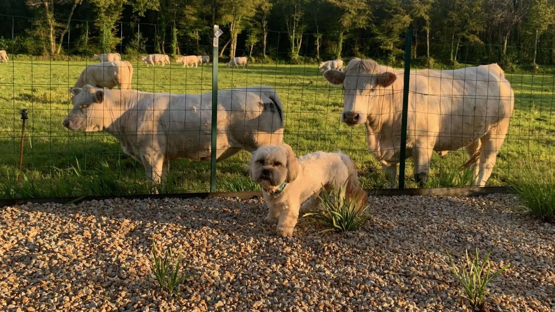 Brit Hotel Lannion-Perros Guirec Lannion